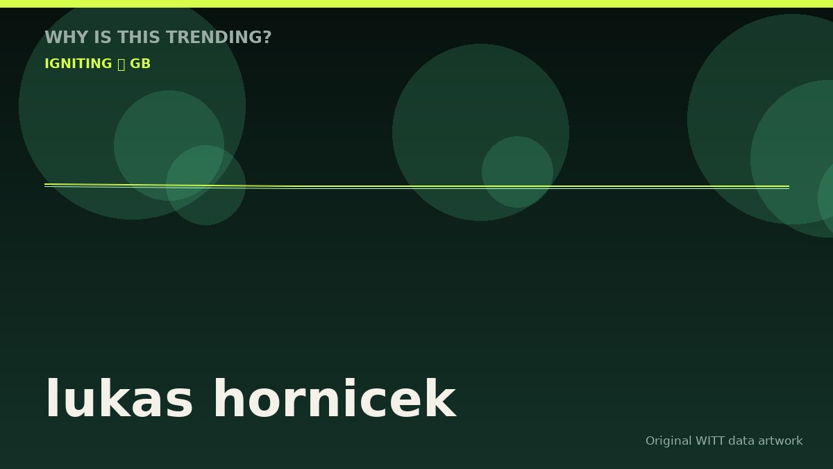 lukas hornicek original attention timeline illustration