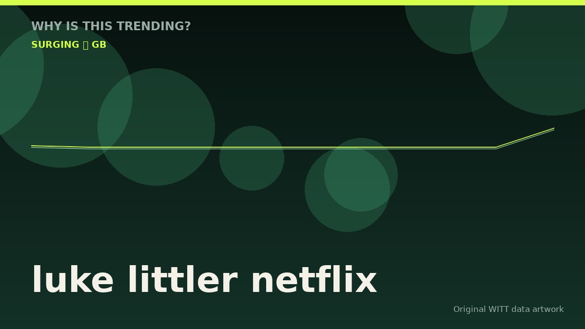 luke littler netflix original attention timeline illustration