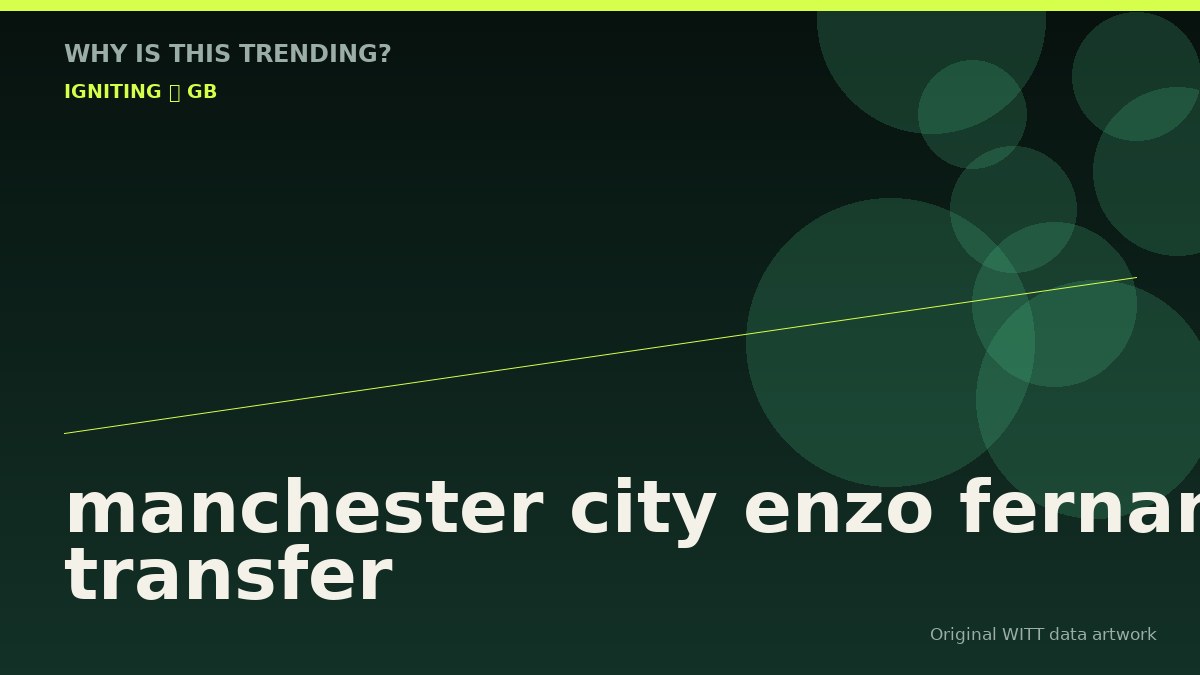 manchester city enzo fernandez transfer original attention timeline illustration