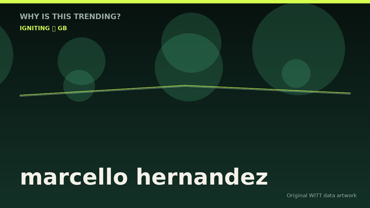 marcello hernandez original attention timeline illustration