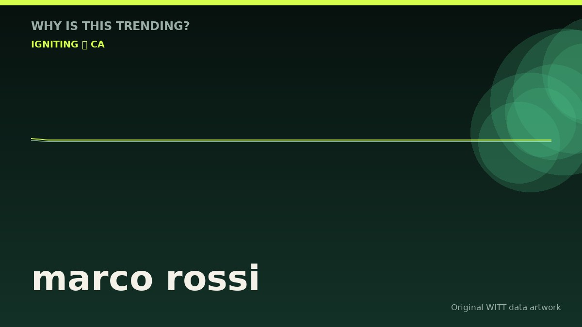 marco rossi original attention timeline illustration