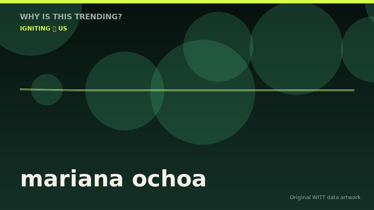 mariana ochoa original attention timeline illustration