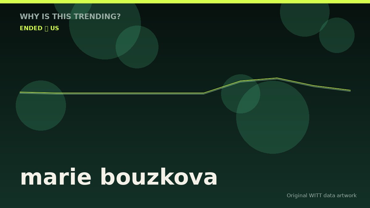 marie bouzkova original attention timeline illustration
