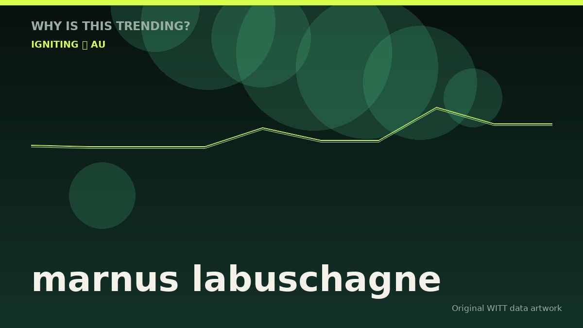 marnus labuschagne original attention timeline illustration