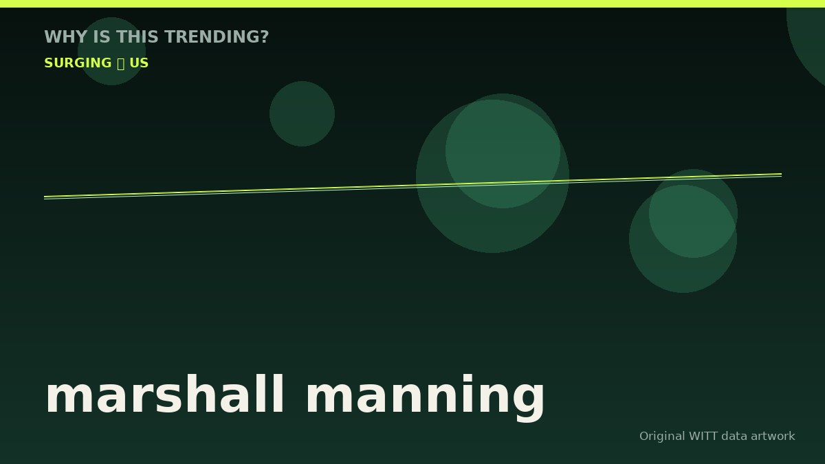 marshall manning original attention timeline illustration