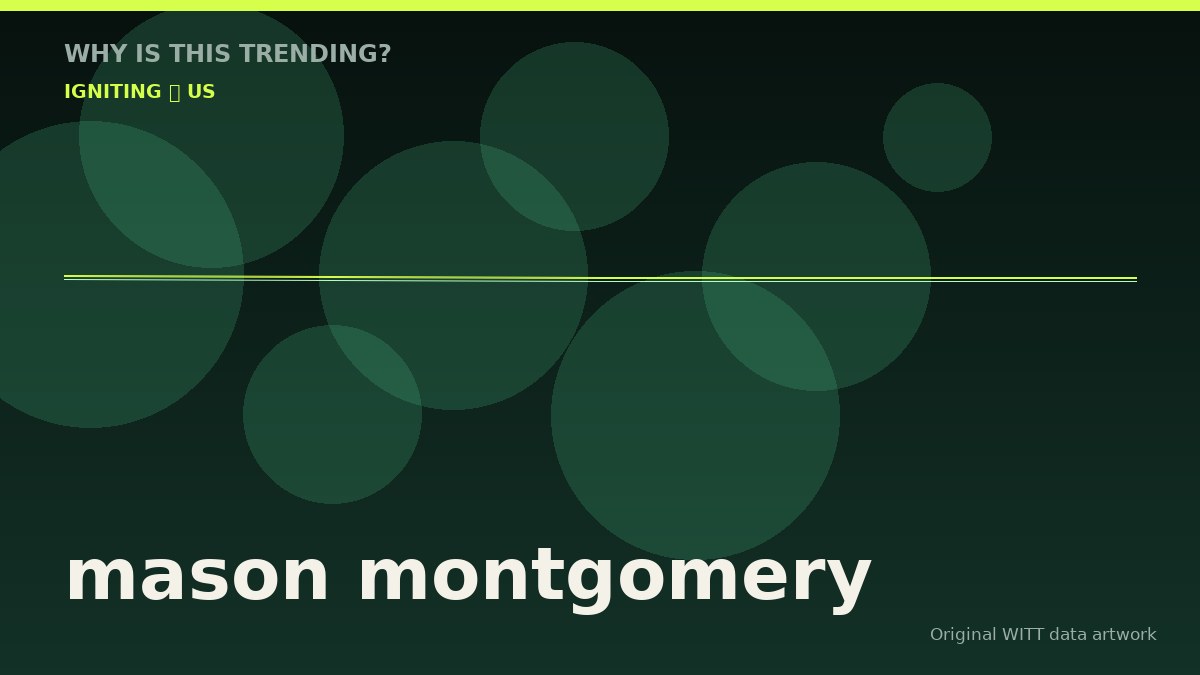 mason montgomery original attention timeline illustration