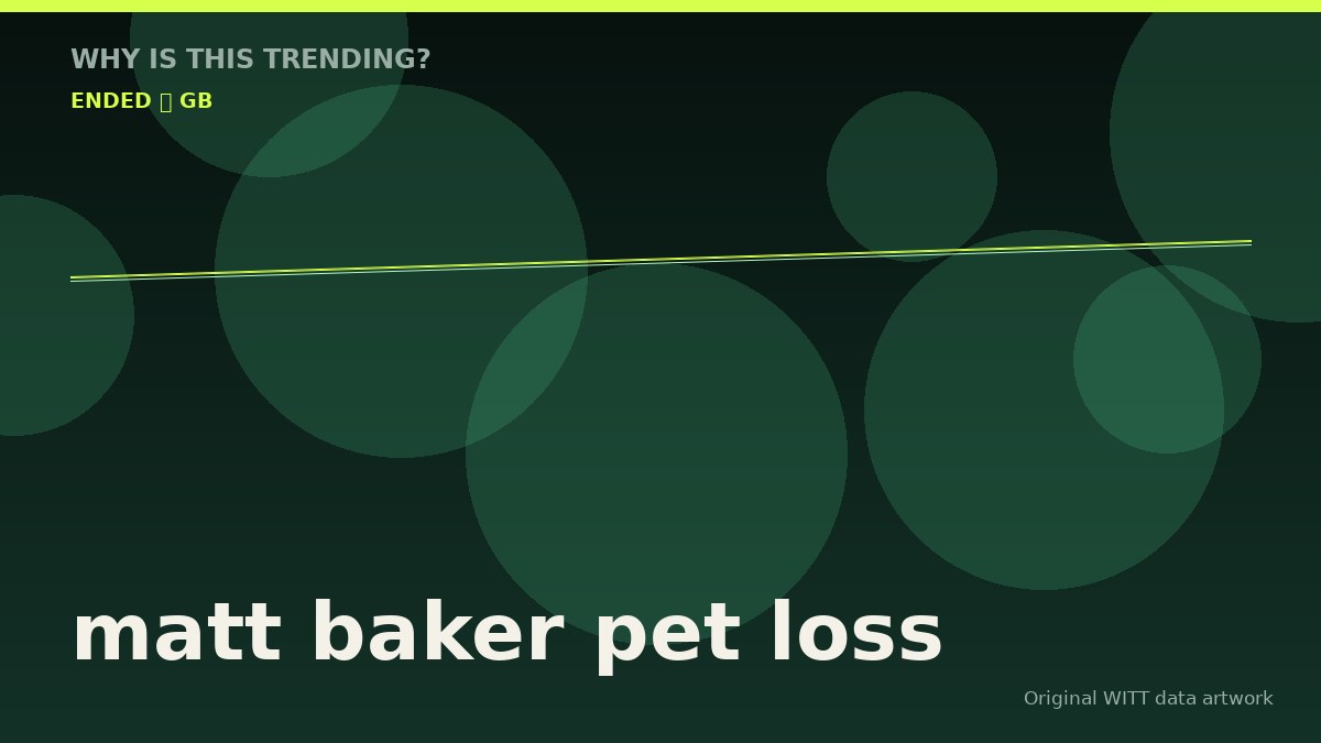 matt baker pet loss original attention timeline illustration
