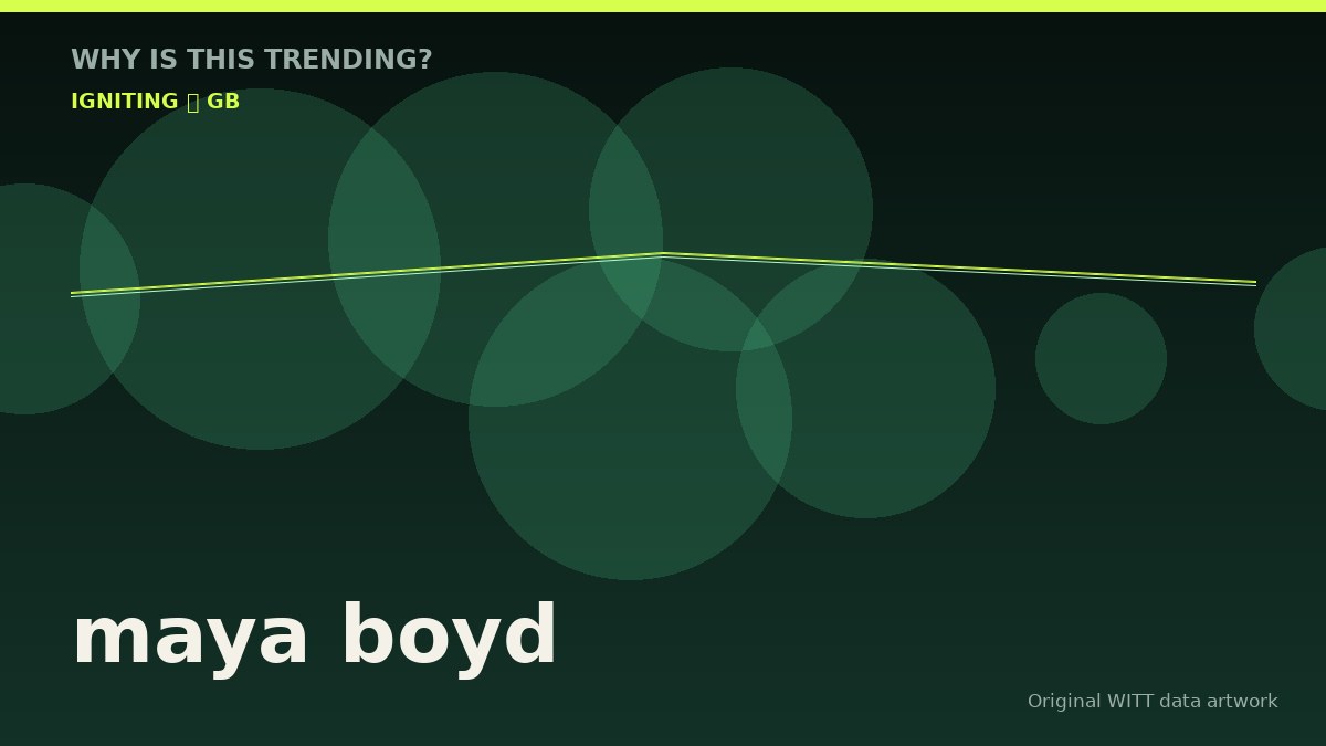 maya boyd original attention timeline illustration