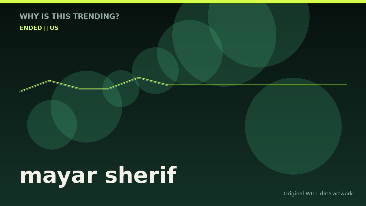 mayar sherif original attention timeline illustration