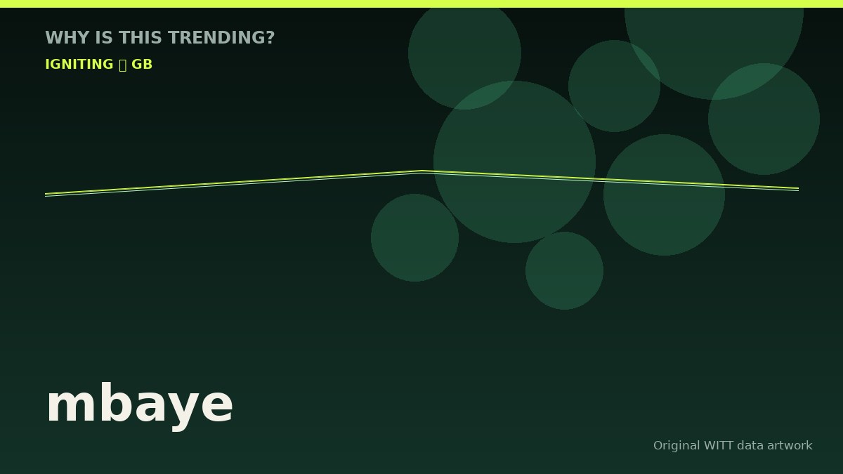 mbaye original attention timeline illustration