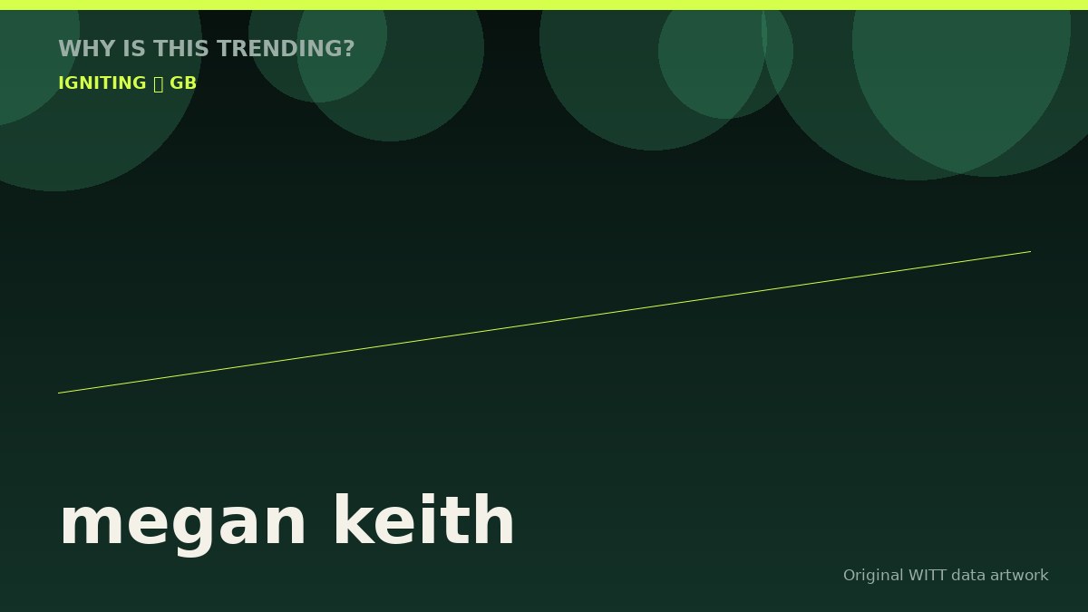 megan keith original attention timeline illustration