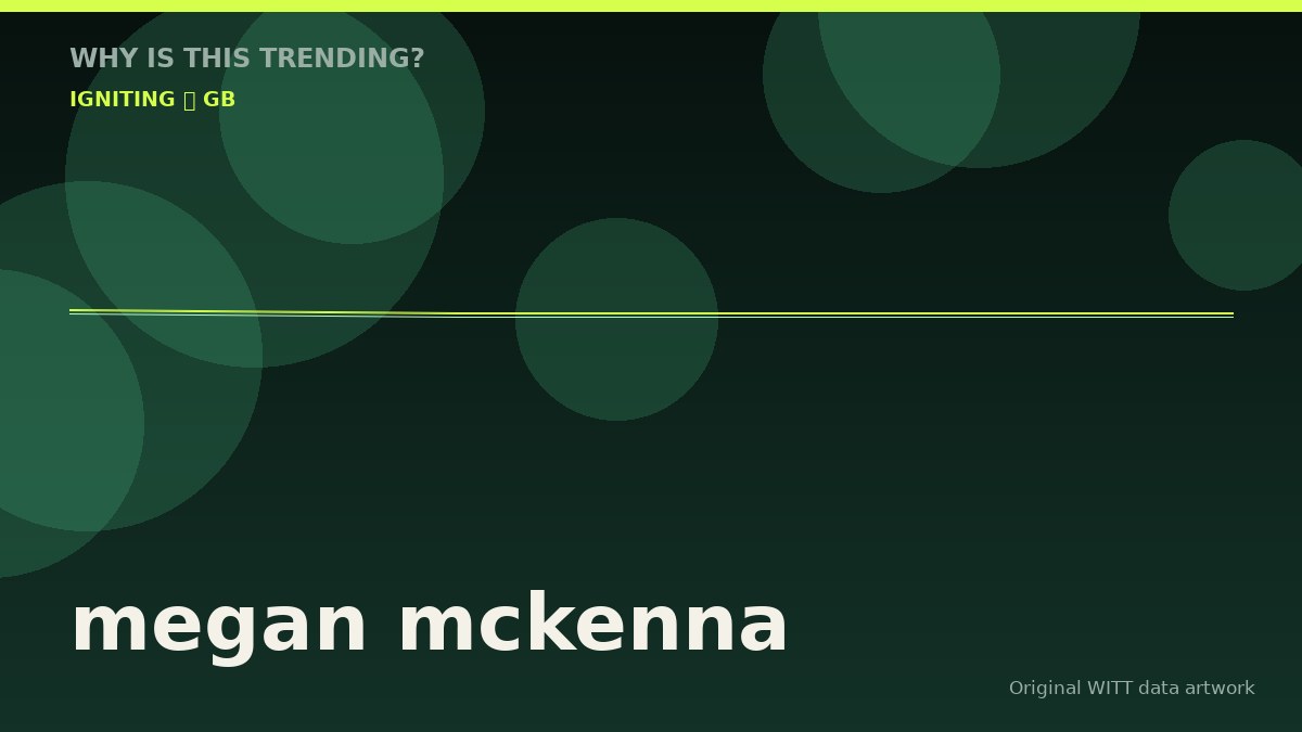 megan mckenna original attention timeline illustration