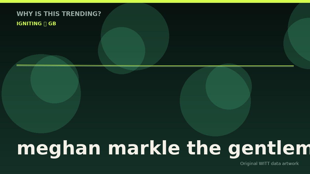 meghan markle the gentlemen original attention timeline illustration