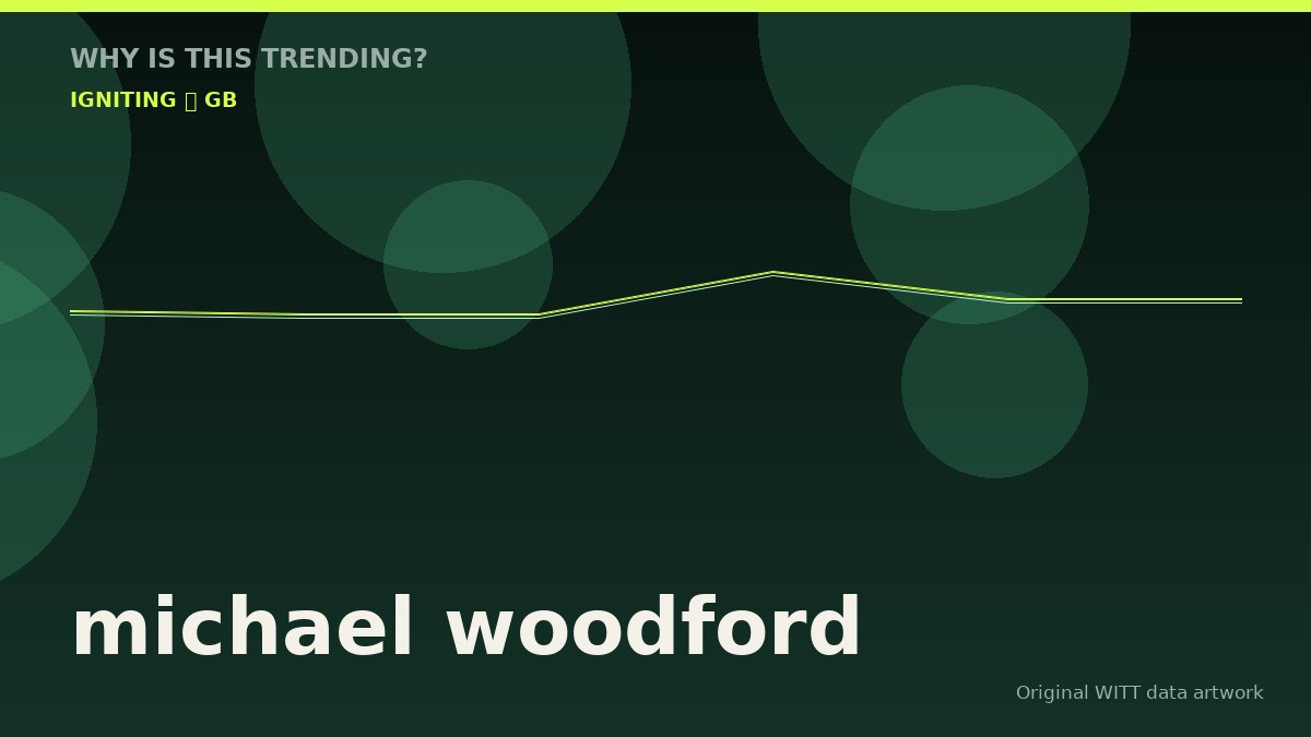 michael woodford original attention timeline illustration