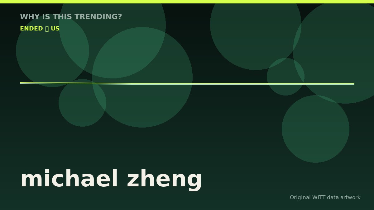 michael zheng original attention timeline illustration