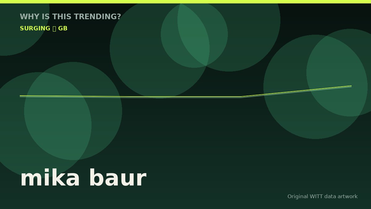 mika baur original attention timeline illustration