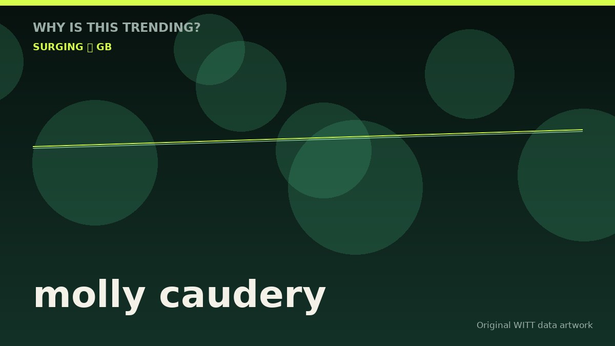 molly caudery original attention timeline illustration
