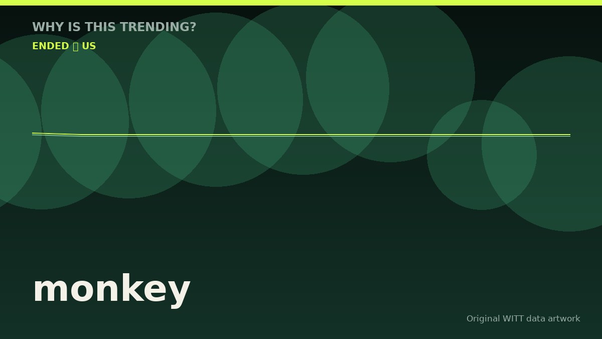 monkey original attention timeline illustration