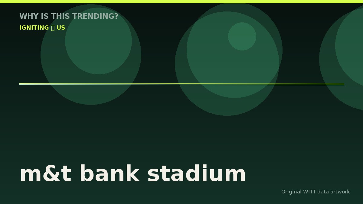 m&t bank stadium original attention timeline illustration