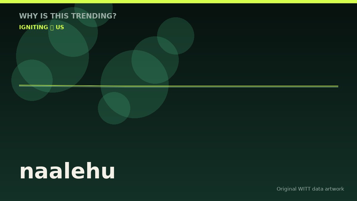 naalehu original attention timeline illustration