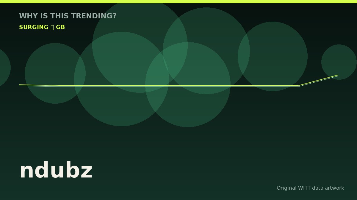 ndubz original attention timeline illustration