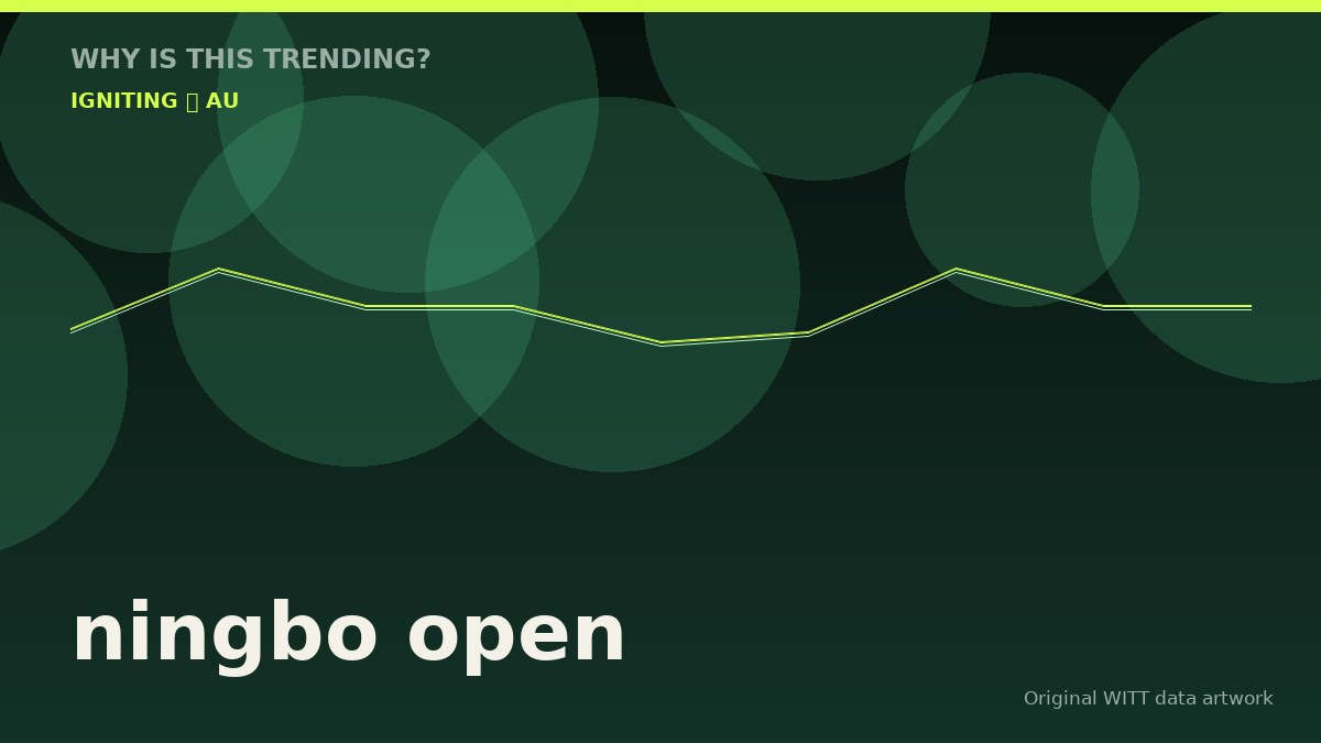 ningbo open original attention timeline illustration