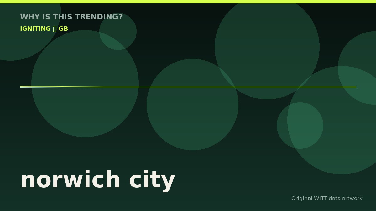 norwich city original attention timeline illustration