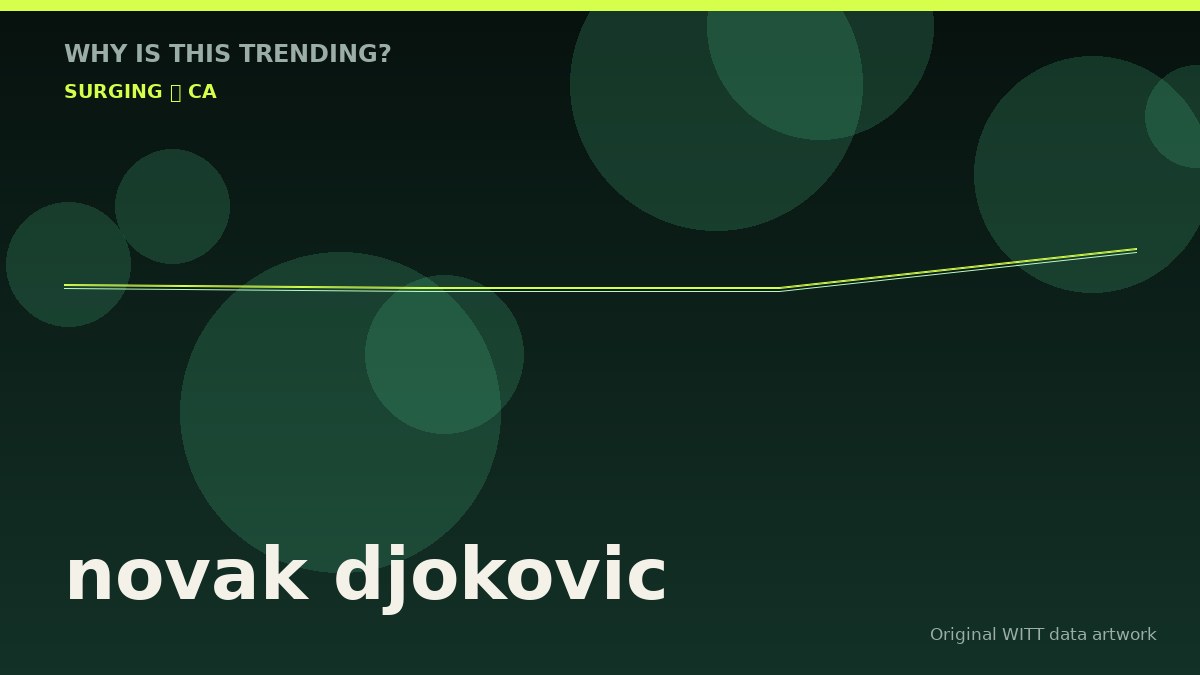 novak djokovic original attention timeline illustration