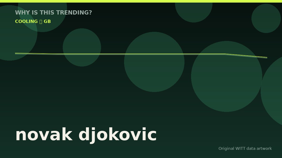 novak djokovic original attention timeline illustration