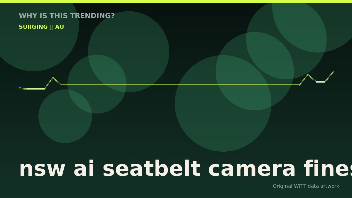 nsw ai seatbelt camera fines original attention timeline illustration