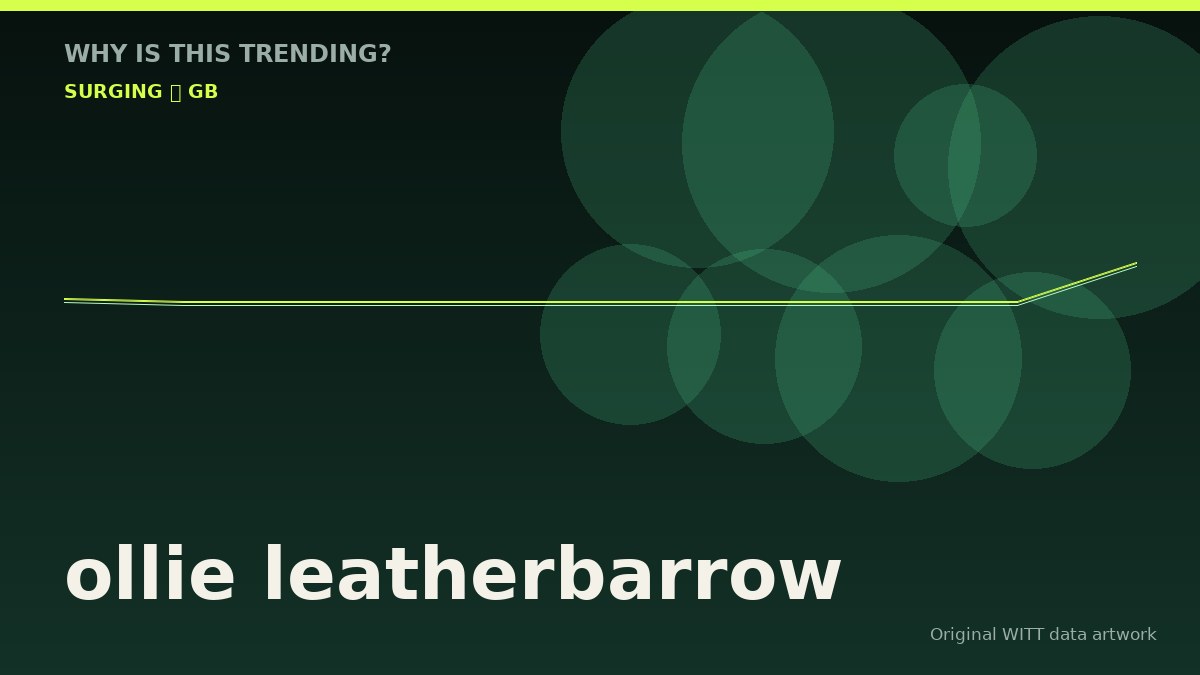 ollie leatherbarrow original attention timeline illustration