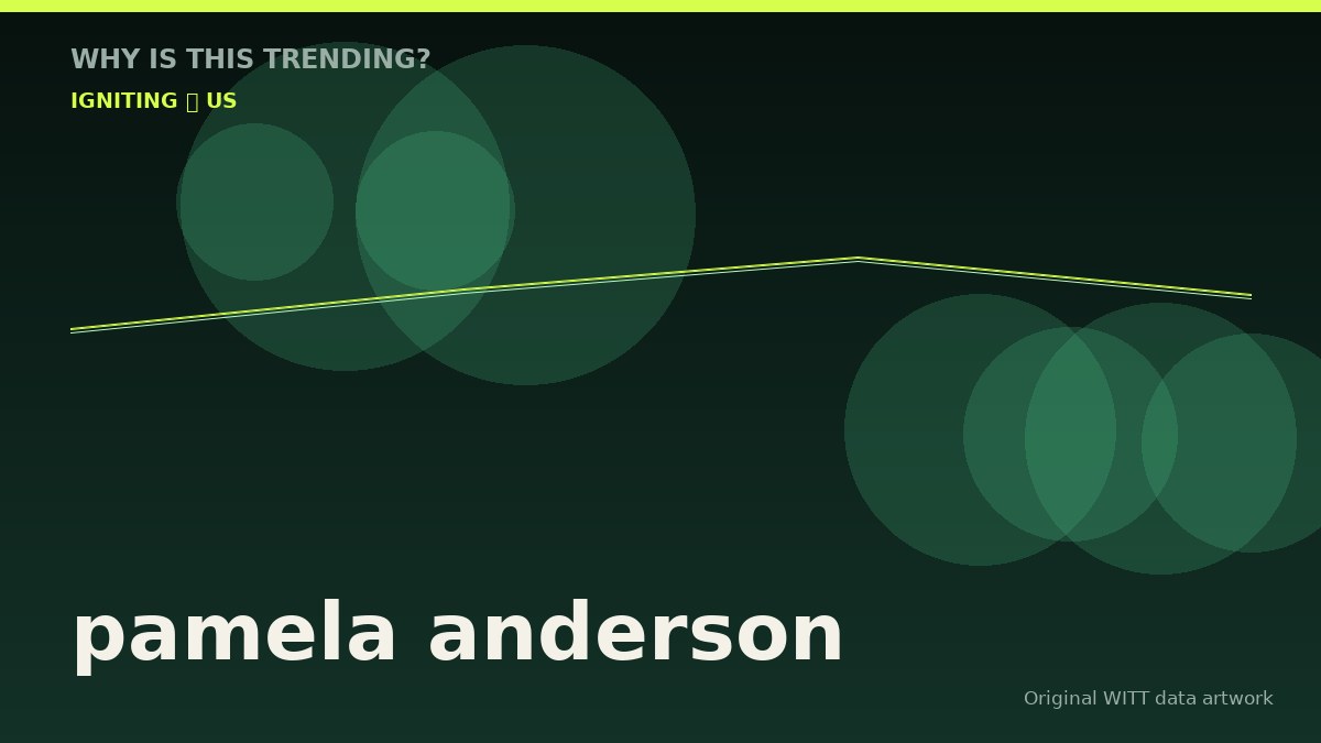 pamela anderson original attention timeline illustration