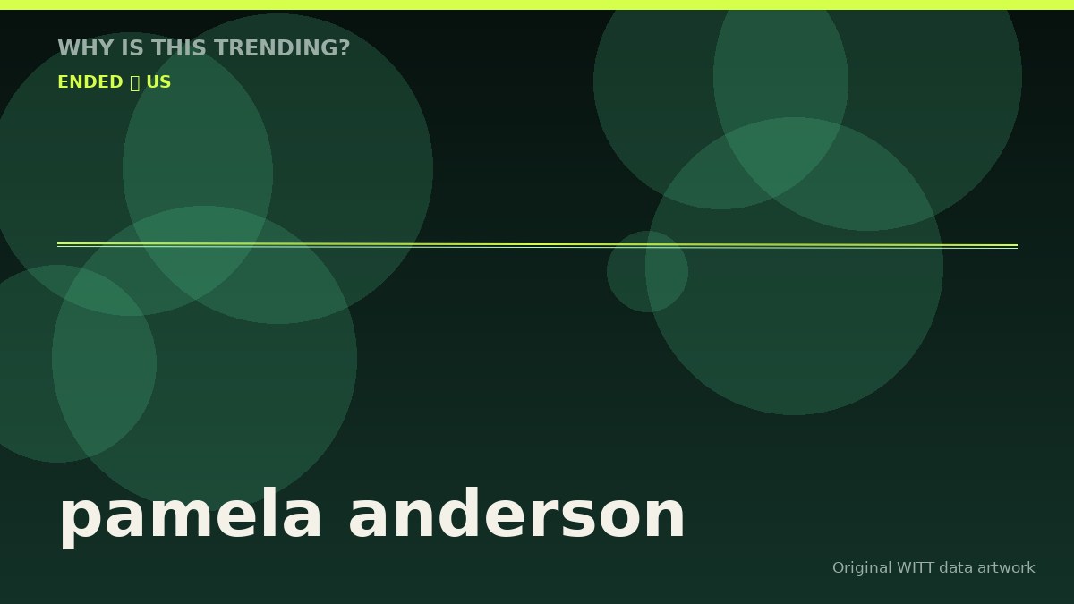 pamela anderson original attention timeline illustration