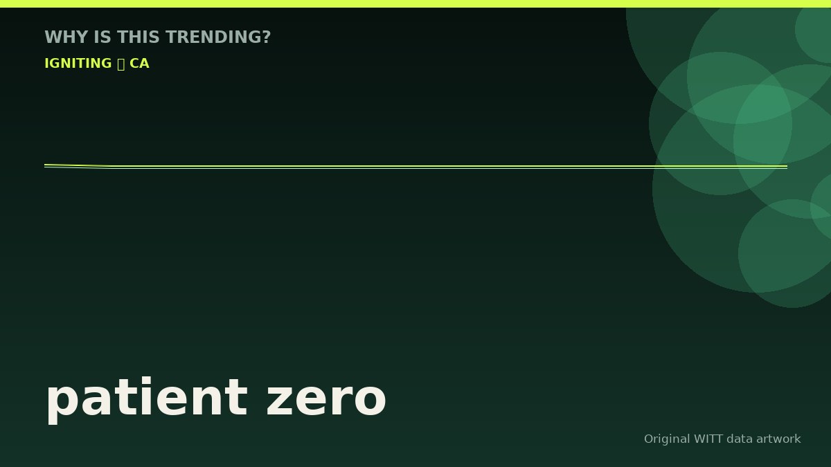 patient zero original attention timeline illustration