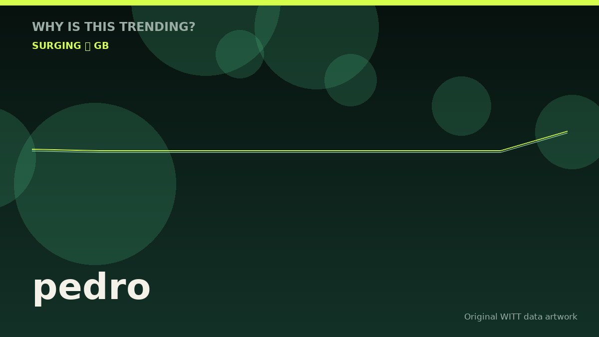 pedro original attention timeline illustration