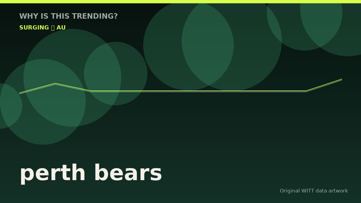 perth bears original attention timeline illustration