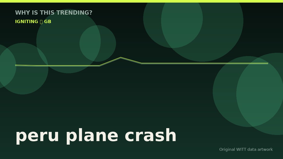peru plane crash original attention timeline illustration