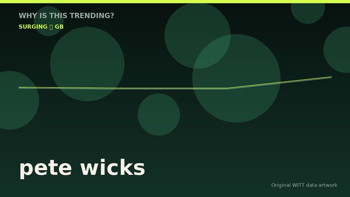 pete wicks original attention timeline illustration