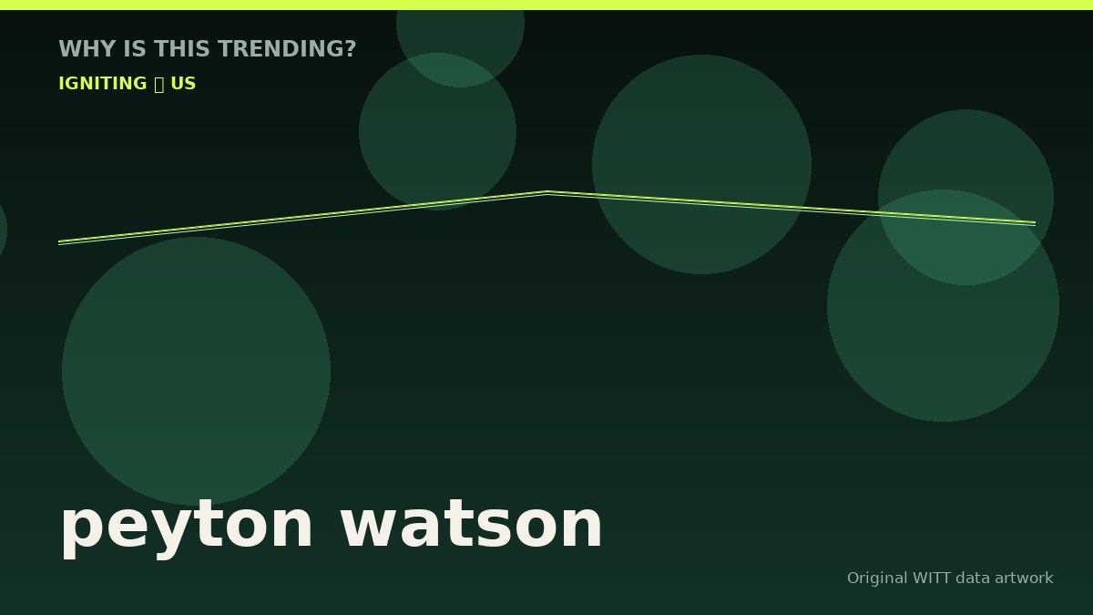 peyton watson original attention timeline illustration