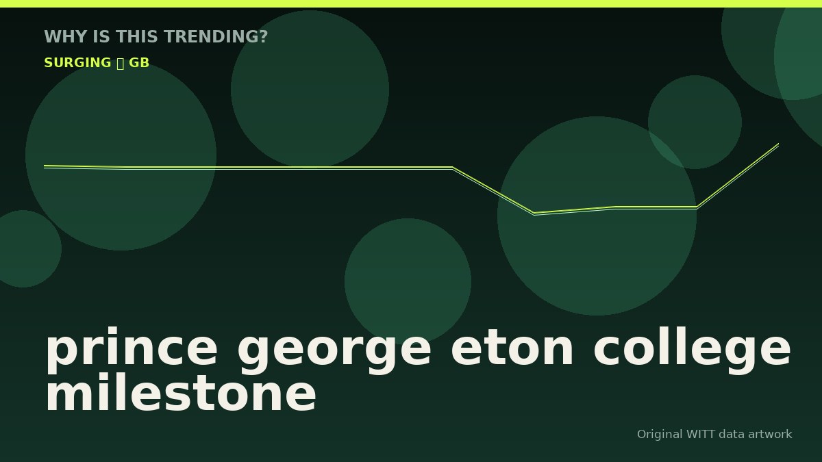 prince george eton college milestone original attention timeline illustration
