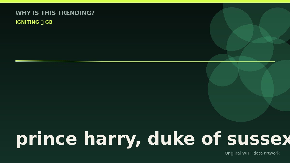 prince harry, duke of sussex original attention timeline illustration