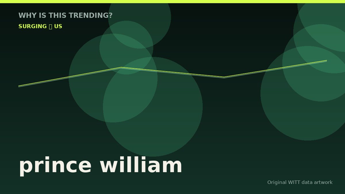prince william original attention timeline illustration