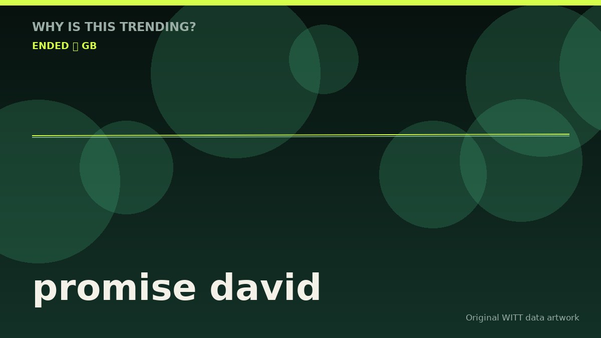 promise david original attention timeline illustration