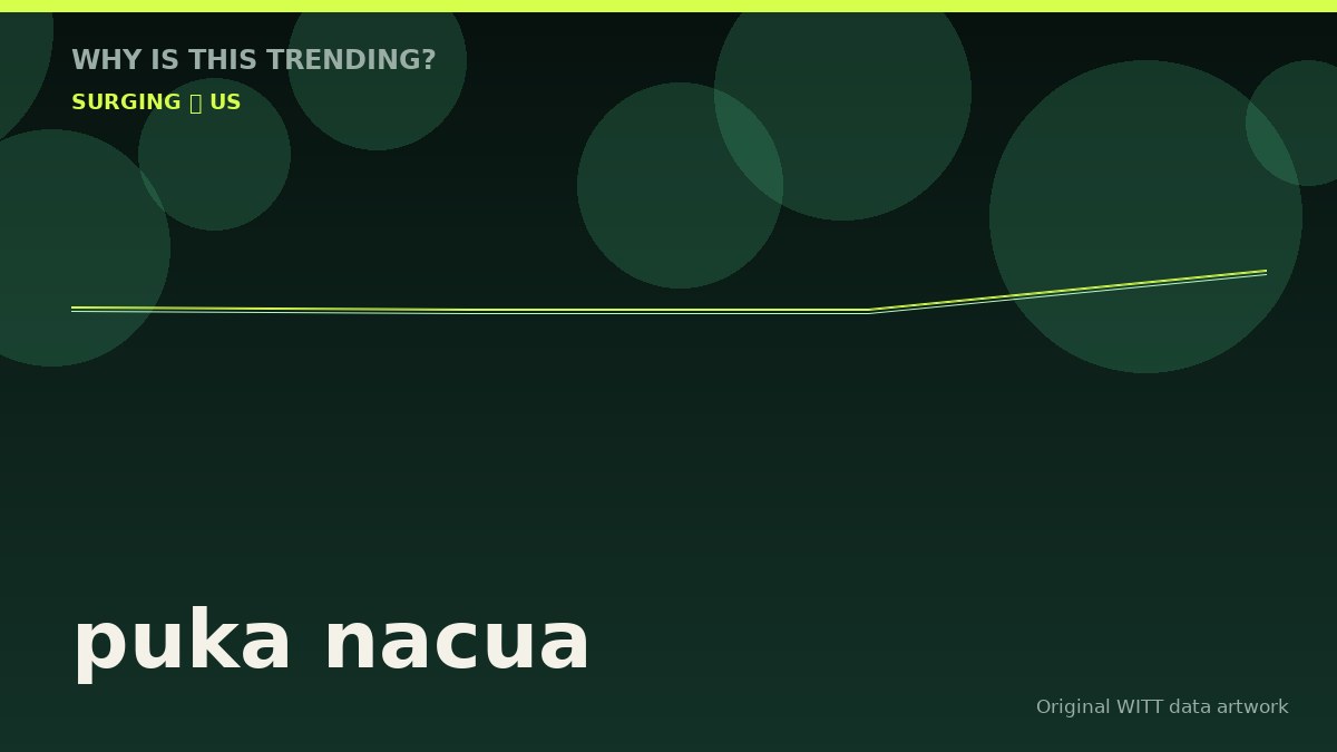 puka nacua original attention timeline illustration