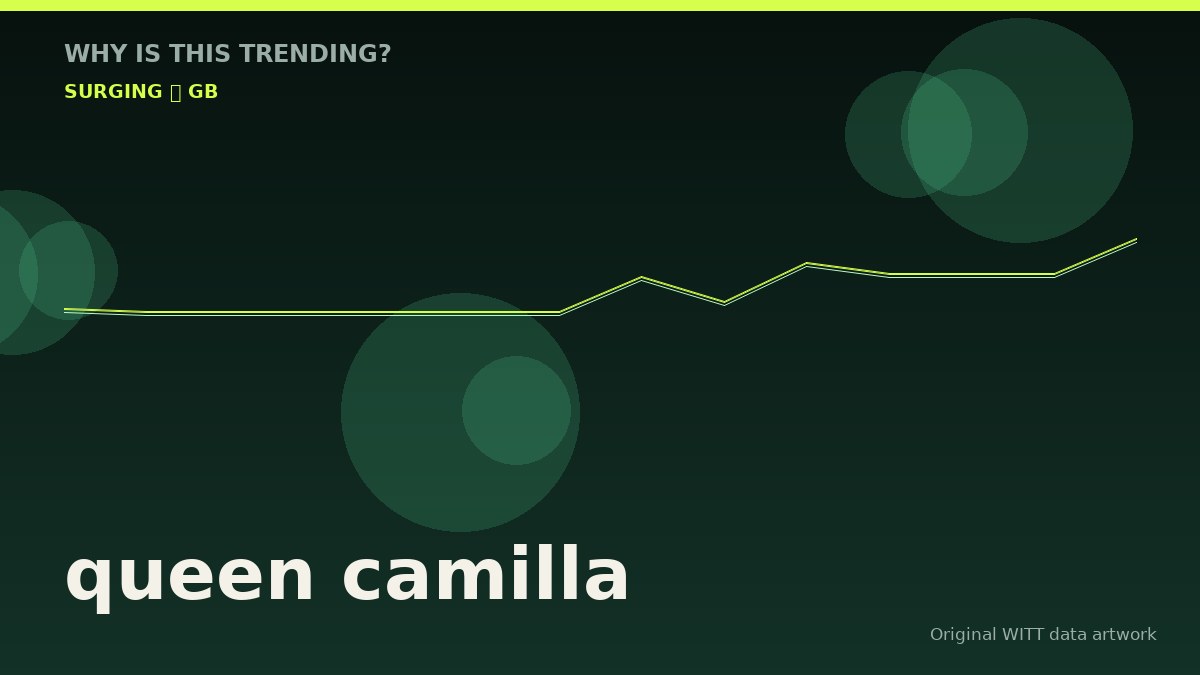 queen camilla original attention timeline illustration
