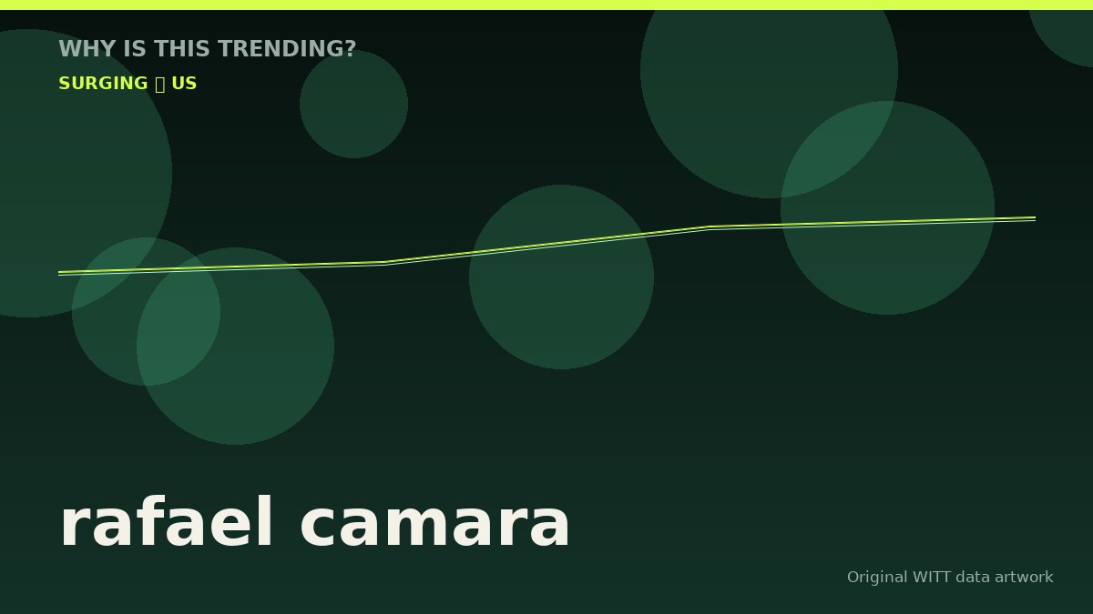 rafael camara original attention timeline illustration