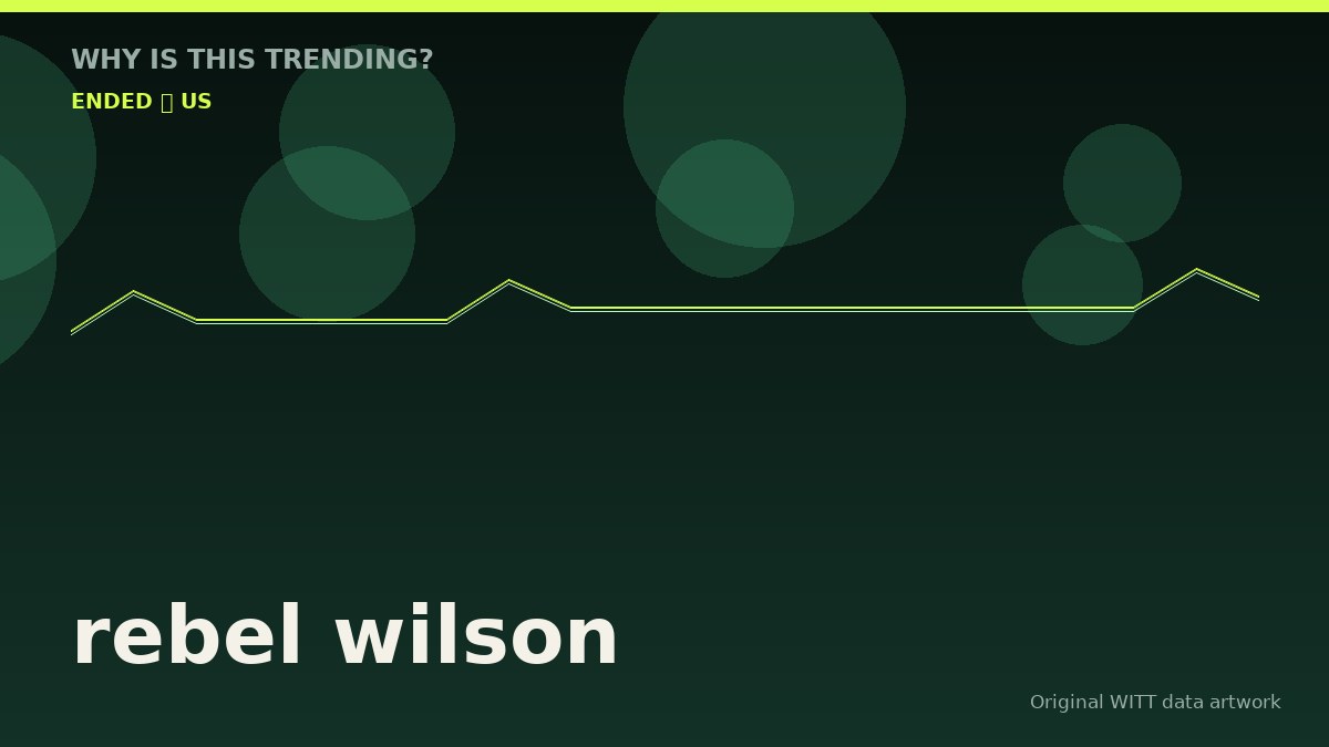 rebel wilson original attention timeline illustration