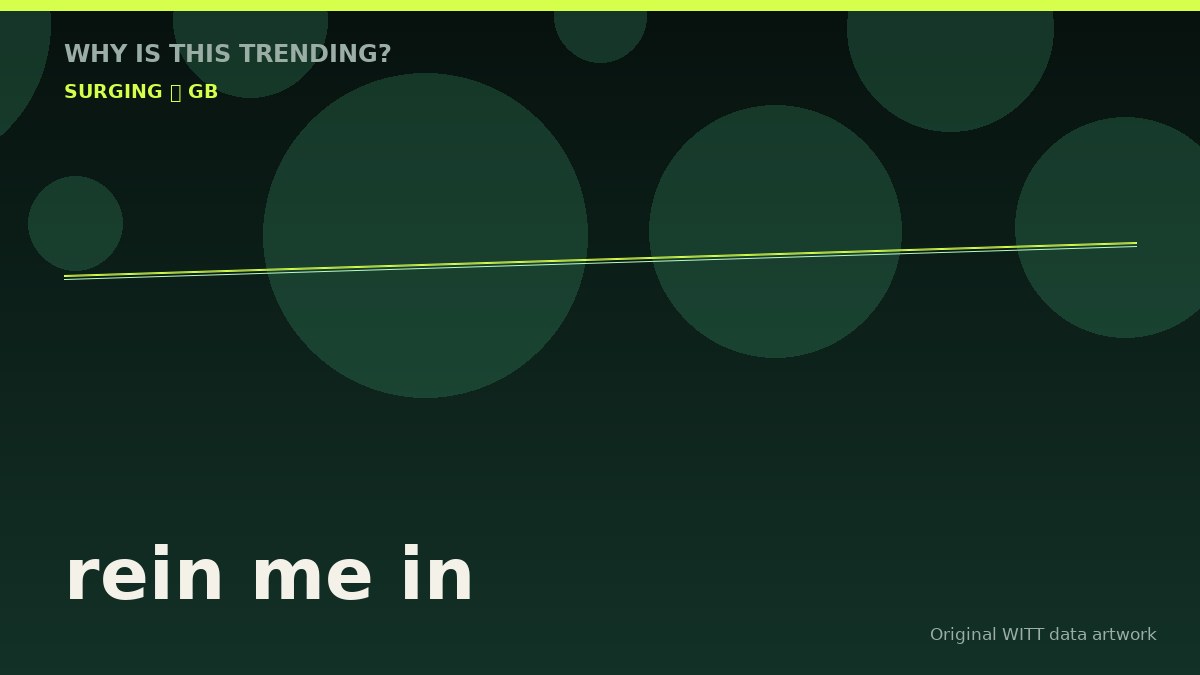 rein me in original attention timeline illustration