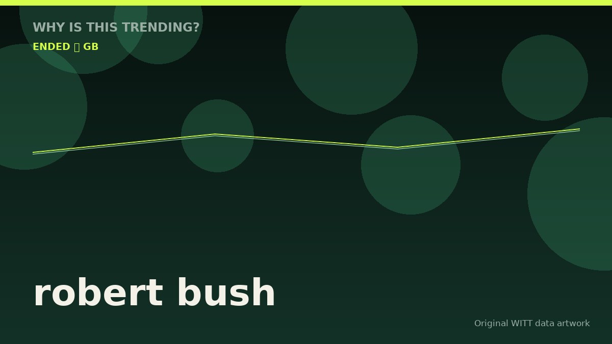 robert bush original attention timeline illustration