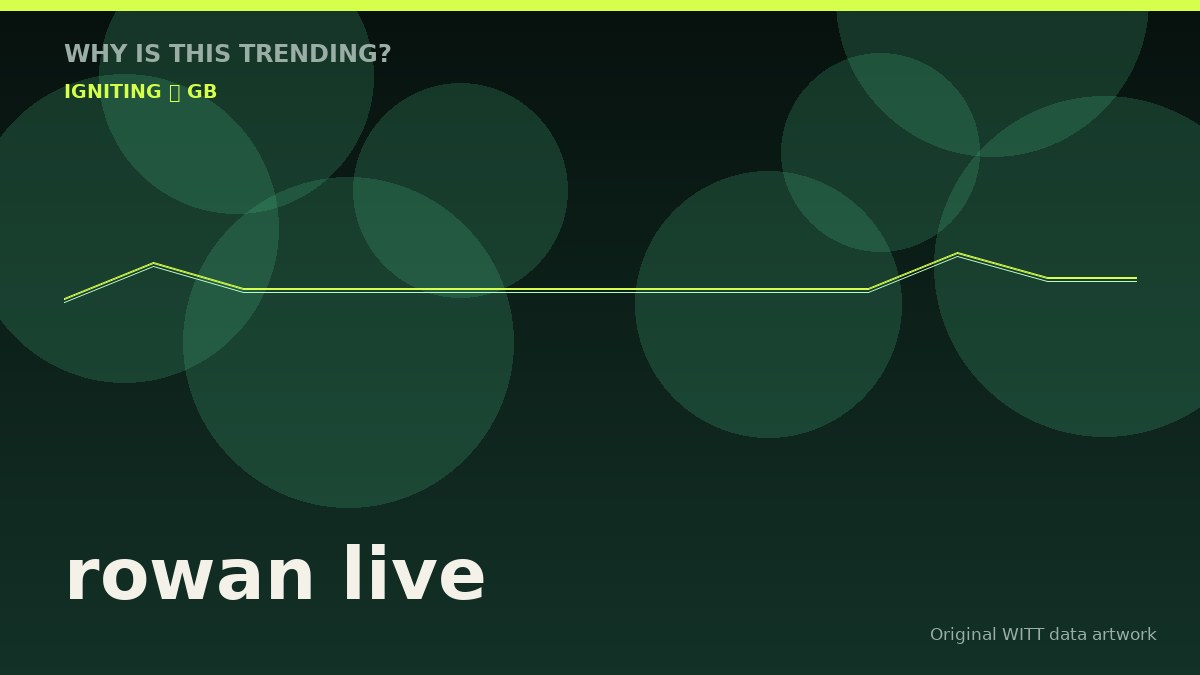 rowan live original attention timeline illustration